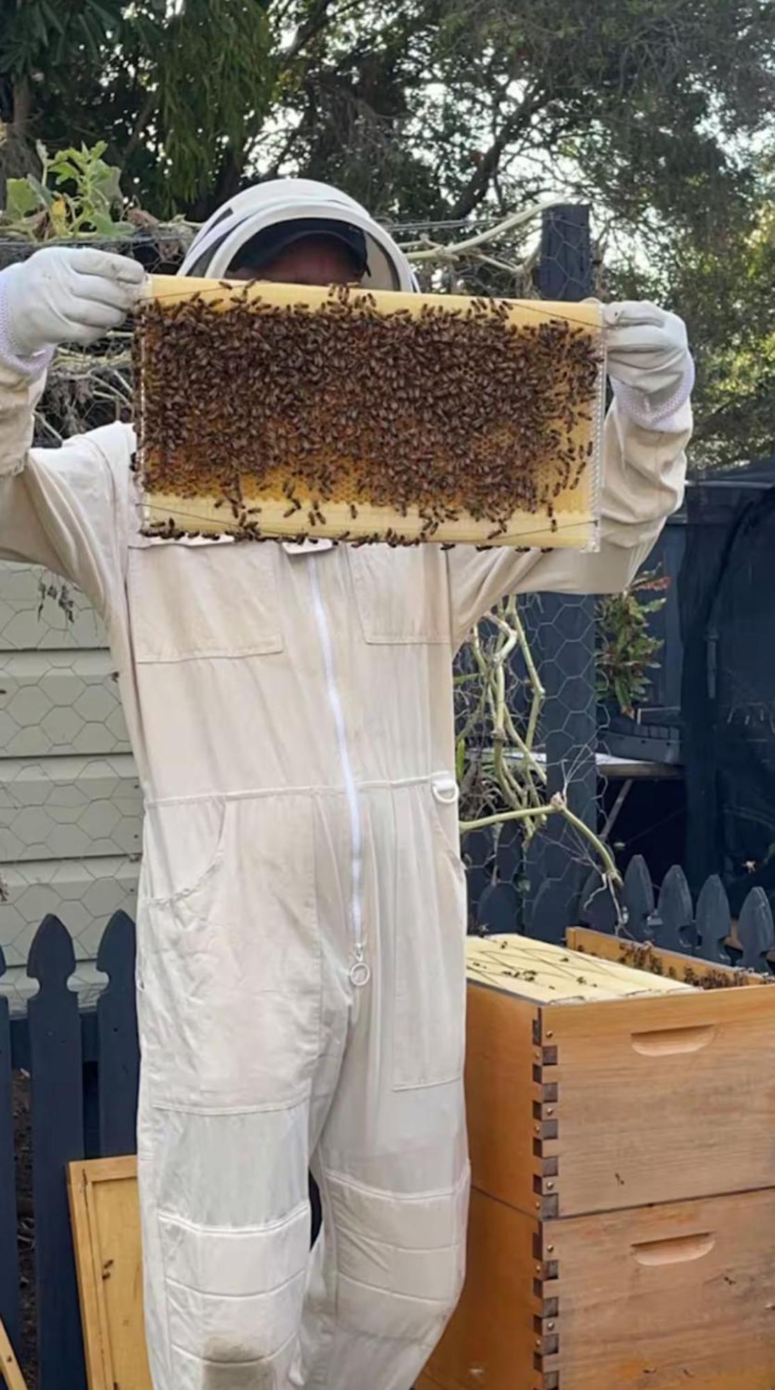 Bee House Hotel Dinmore Exterior foto